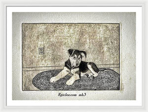 Little Shepherd - Framed Print